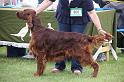 Copper's Champagne On Ice At Aoibheanne (4)